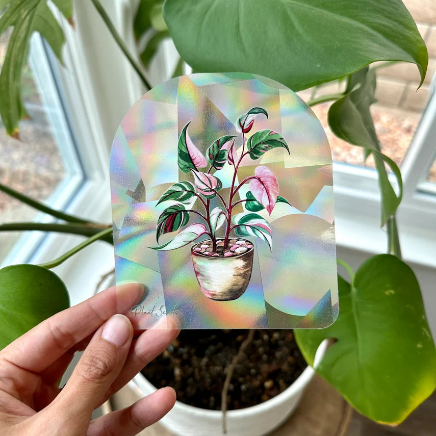 Rainbow Maker Suncatcher Window Decal Sticker