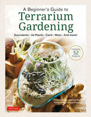 Beginner's Guide to Terrarium Gardening: Succulent