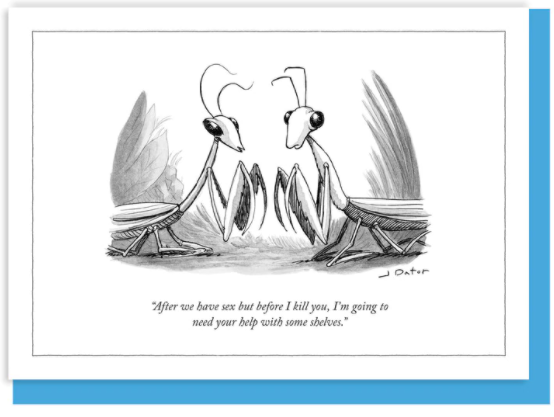 New Yorker Card Mantis / Help With Shelves by Pet Food Warehouse