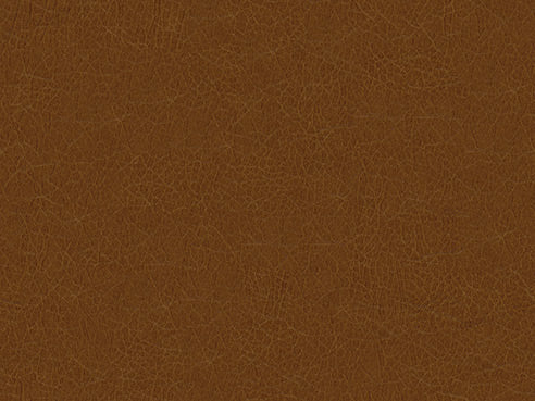 Trafton Sectional "L" Configuration Rust Leather LS (LAF) + W + LS (RAF) by Homeportonline