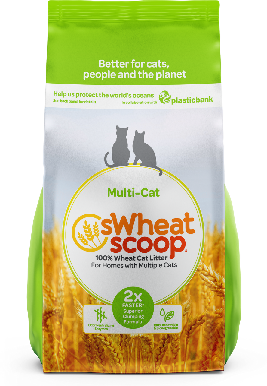 Swheat Scoop Multi Cat Litter 28lb by Pet Food Warehouse