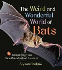 Weird and Wonderful World of Bats