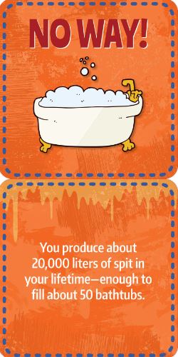 Noteworthy Card Deck Lunch Box Notes Gross Facts by Homeportonline