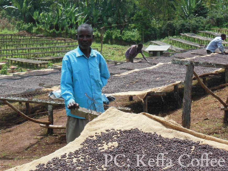 Ethiopia Sidama Ardi Coffee - 12 oz. by Brio Coffeeworks