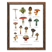 Poisonous Mushroom Art Print