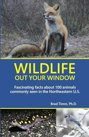 Wildlife Out Your Window Fascinating Facts About 100 Animals Commonly Seen in the Northeastern U.S.