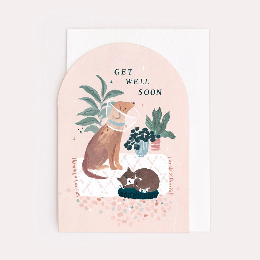 Cat and Dog Get Well Soon Card by Wild Lark