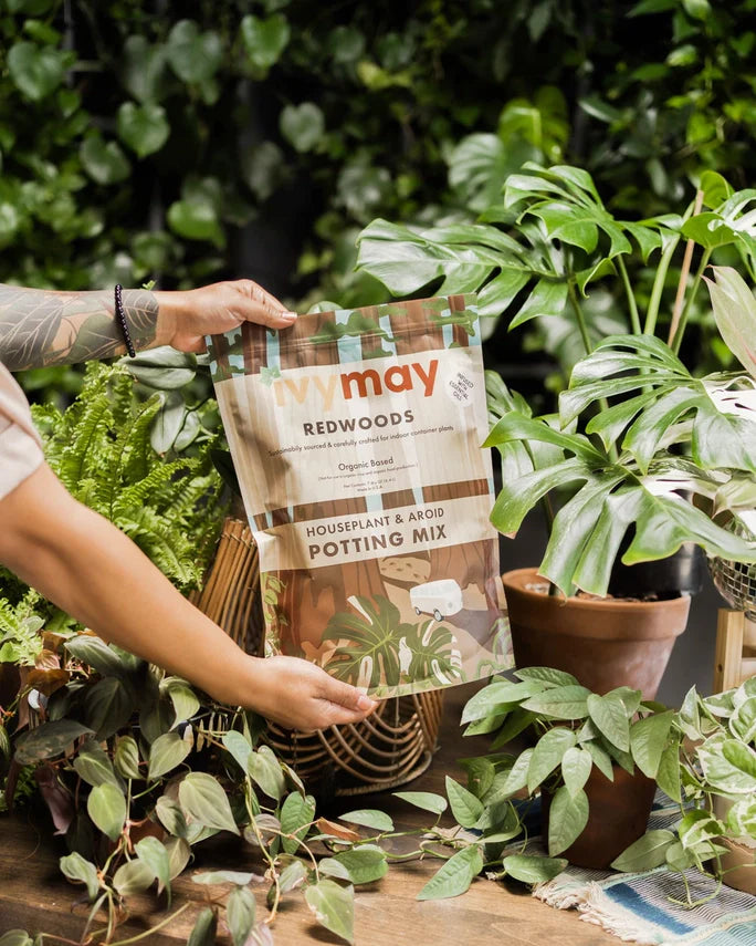 Premium Houseplant & Aroid Potting Soil Mix (4 Qt)