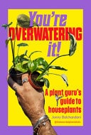 You're Overwatering It! A Plant Guru's Guide to Houseplants