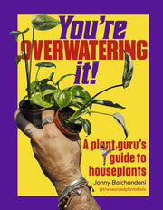You're Overwatering It! A Plant Guru's Guide to Houseplants