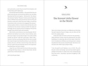 The Forest Year - Finding Hope in a World Worth Saving