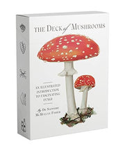 Deck of Mushrooms An illustrated field guide to fa