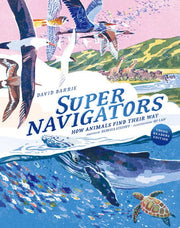 Supernavigators