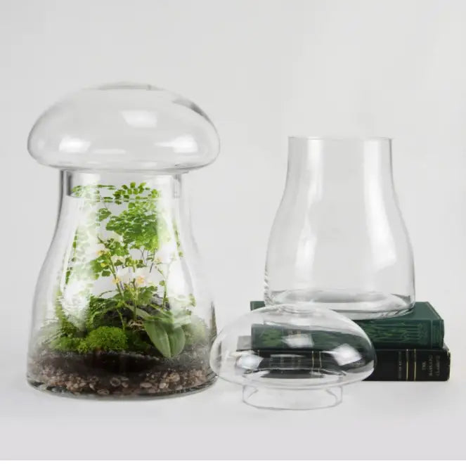 Glass Mushroom Apothecary by Wild Lark