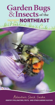 Garden Bugs & Insects of the Northeast Identify Po