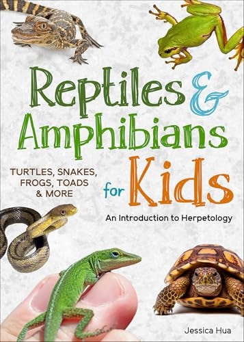 Reptiles and Amphibians for Kids An Introduction to Herpetology