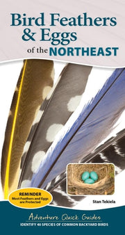 Bird Feathers & Eggs of the Northeast: Identify 40