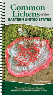 Common Lichens of the Eastern United States