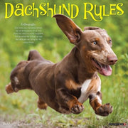 Dachshund Rules 2027 12 X 12 Wall Calendar