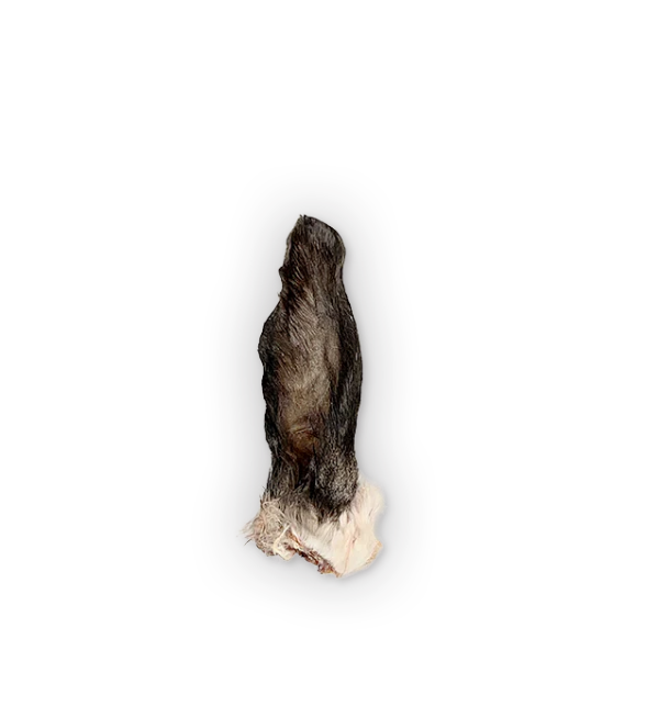 The Rabbit Tap Dehydrated Ear by Pet Food Warehouse