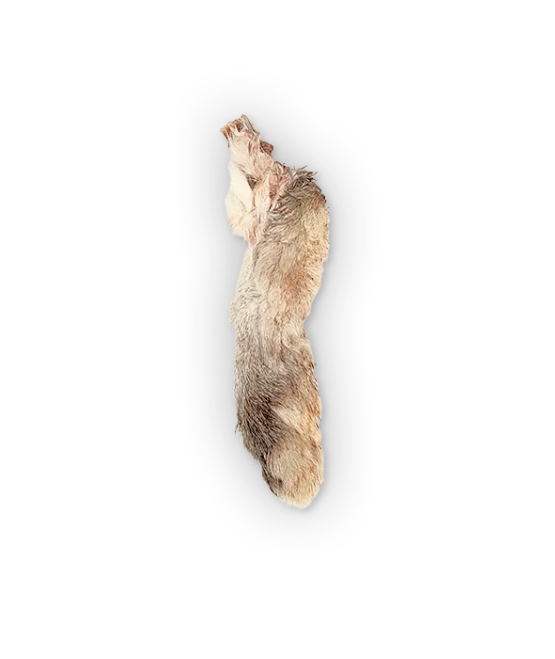 The Rabbit Tap Dehydrated Feet by Pet Food Warehouse