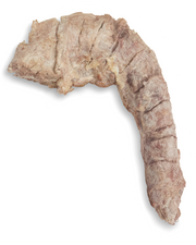 Momentum Carnivore Nutrition Turkey Neck Chew by Pet Food Warehouse