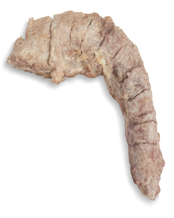 Momentum Carnivore Nutrition Turkey Neck Chew by Pet Food Warehouse