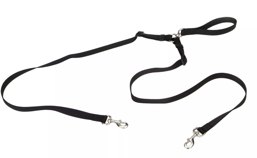 Coastal Two Dog walking Leash by Pet Food Warehouse