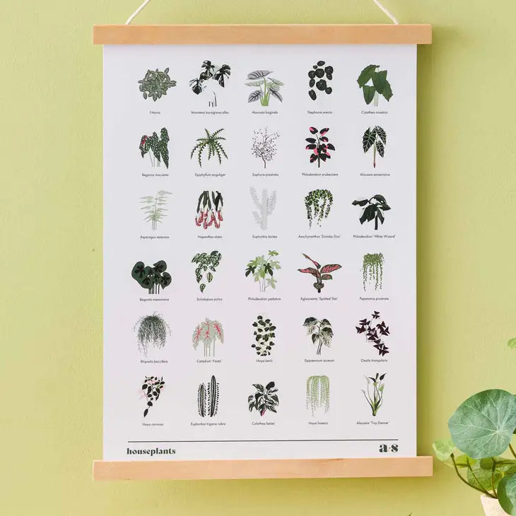 Houseplant Print, Edition 2, with Botanical Illustrations by Wild Lark