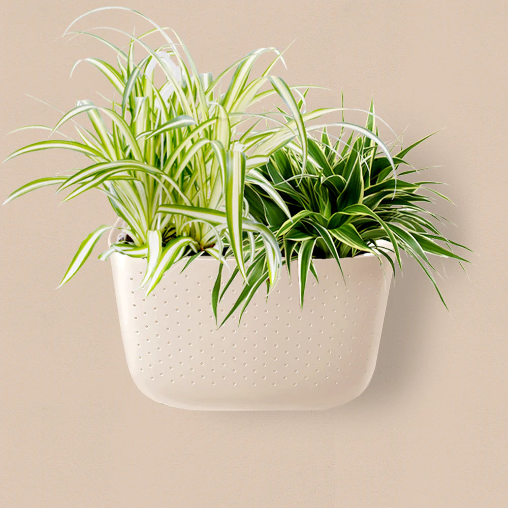 Sale! WallyGro Eco Planters (9 Colors Available)