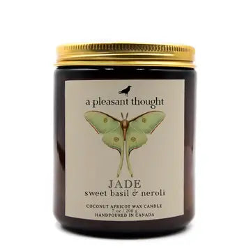 A Pleasant Thought Jar Candles by Wild Lark