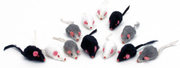 Coastal - Small Fur Mice Cat Toy 12pk by Homeportonline