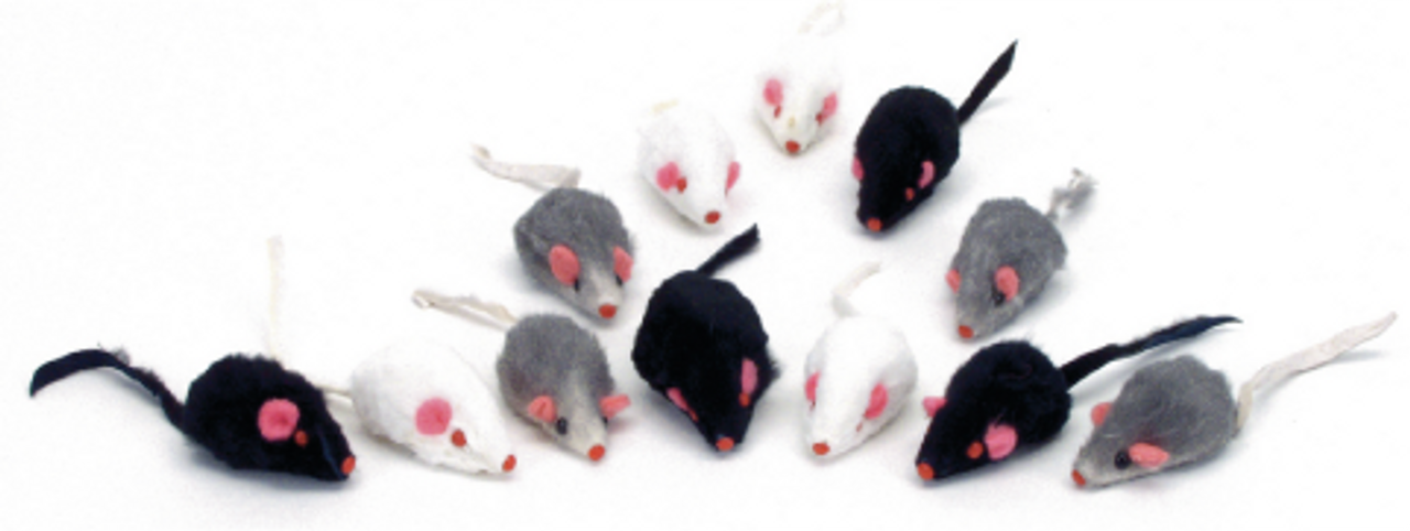 Coastal - Small Fur Mice Cat Toy 12pk by Homeportonline