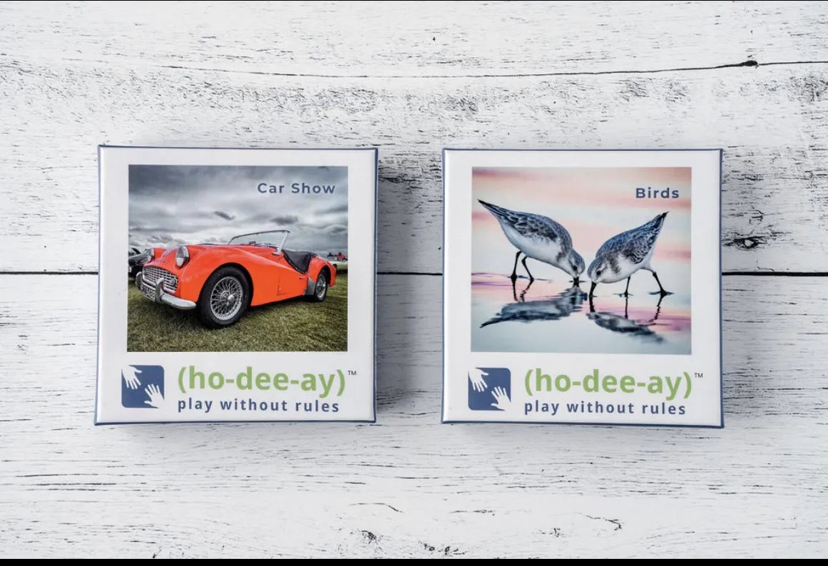 (ho-dee-ay) Bird & Car Show Pair by (ho-dee-ay)