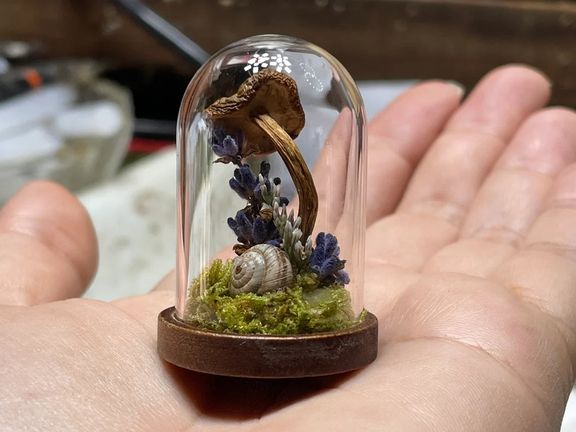 Miniature Lavender, Mushroom, and Snail Terrarium