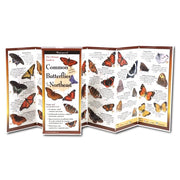 Common Butterflies of North East: Folding Guide