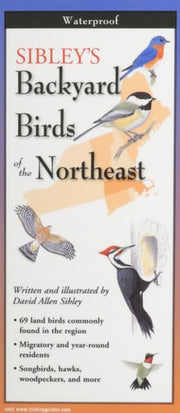 Sibley's Backyard Birds of New England & Northern New York