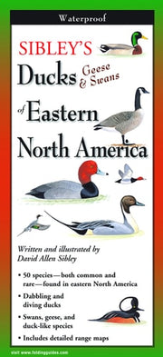 Sibley's Ducks, Geese and Swans of Eastern North America