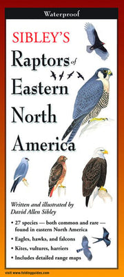 Raptors of Eastern North America Folding Guide