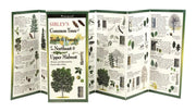 Sibley's Trees of Trails and Forests of the Northeast and Upper Midwest