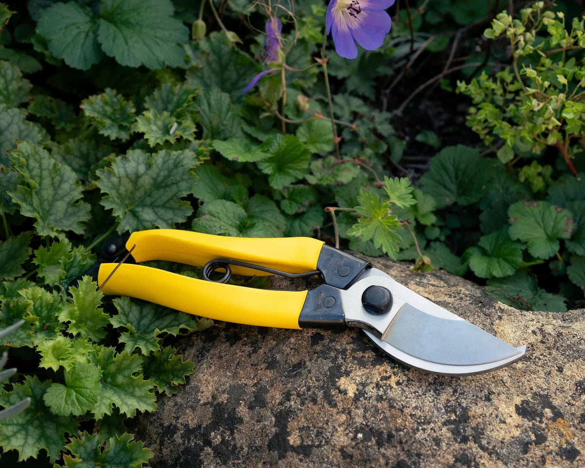 Mainichi Secateurs pruning shears