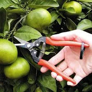 ARS Fruits Pruner 300L