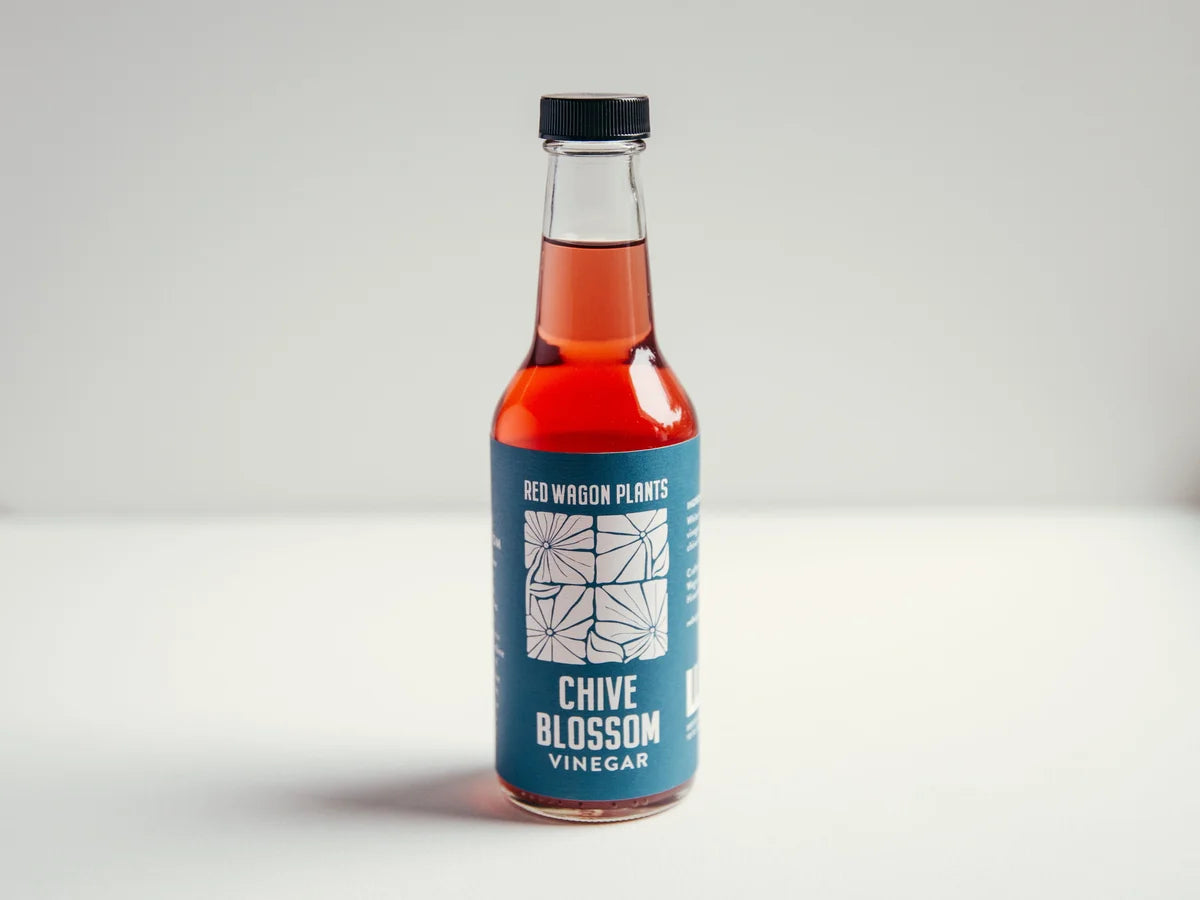 Chive Blossom Vinegar