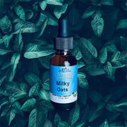 Milky Oats by Vermont Pure Herbs