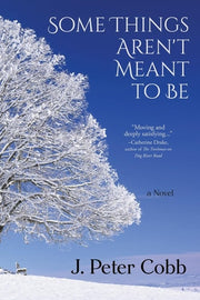 Some Things Aren't Meant to Be A Novel
