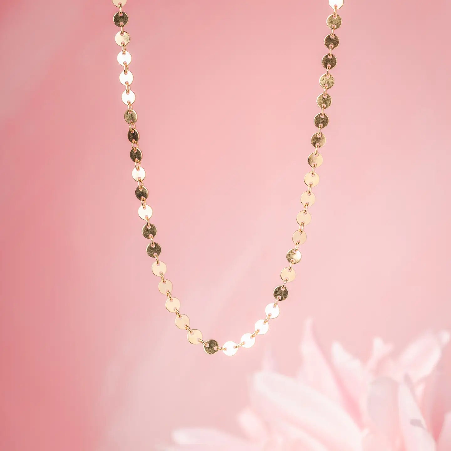 Mineral and Matter Circle Disc Chain Goldfill Necklace by Harbour Thread