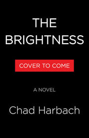 The brightness: a novel
