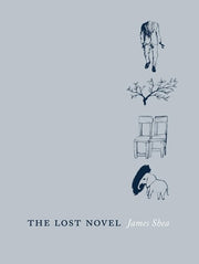 Lost Novel