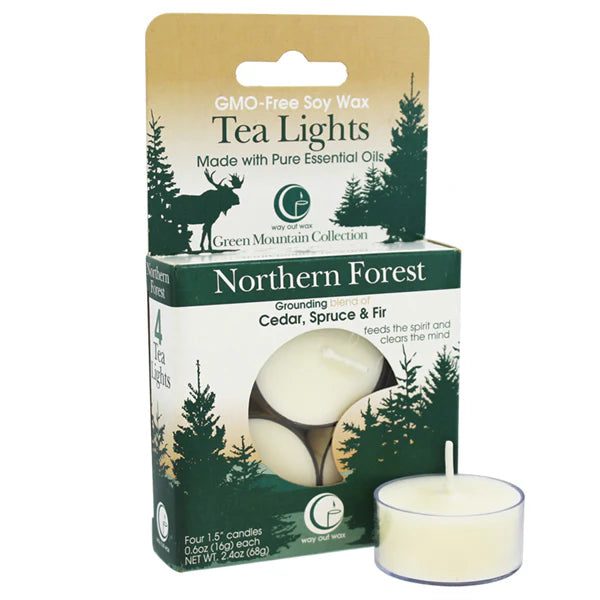 Northern Forest - Tealight Candle 4-pack by Way Out Wax