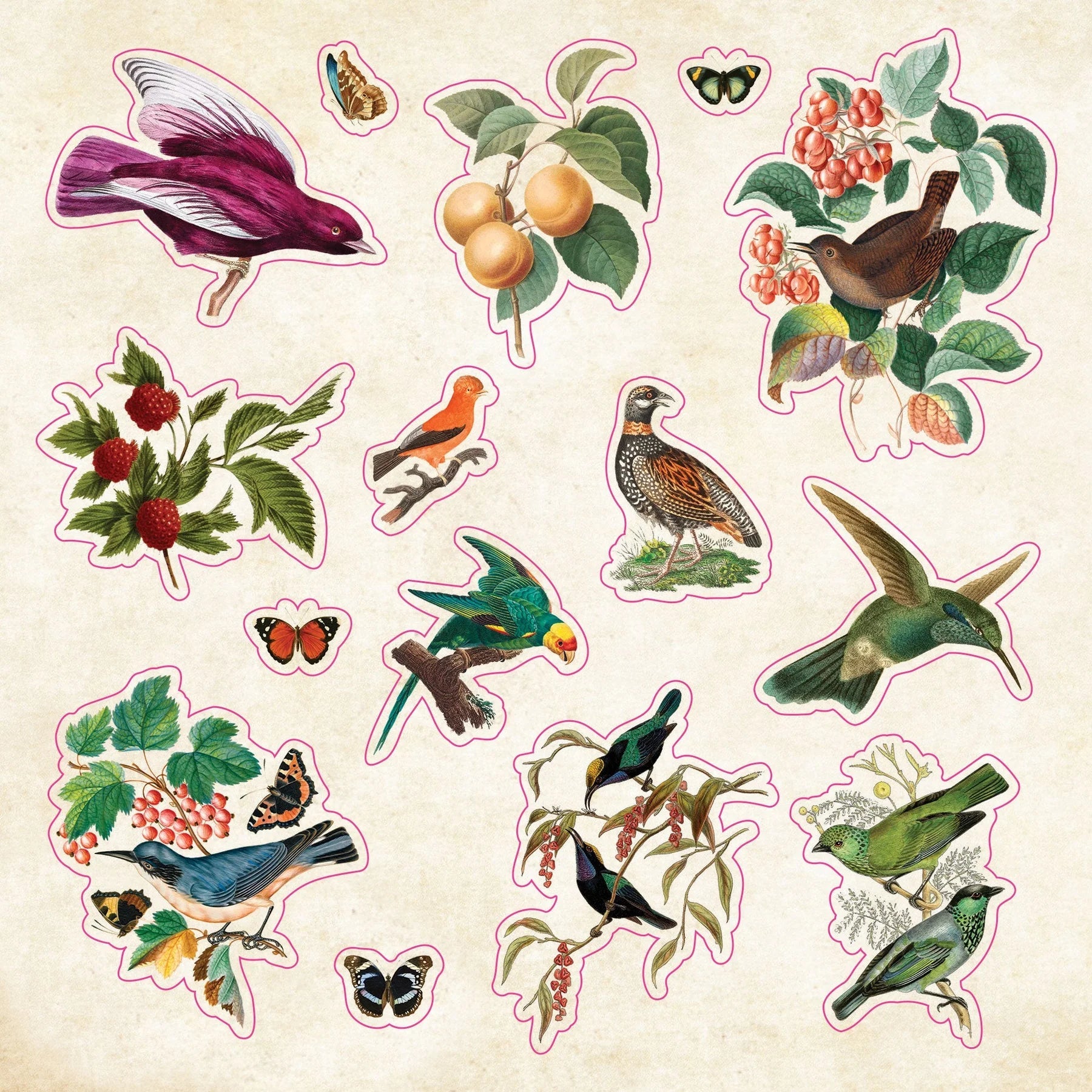 Sticker Book Curiosities by Homeportonline